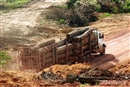El Gobierno espa&#241;ol da otro paso para perseguir el comercio de madera ilegal
