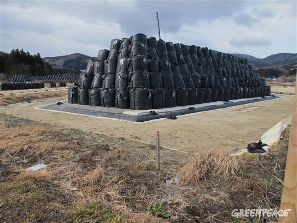 Bolsas de tierra radioactiva en Iitate, cerca de Fukushima