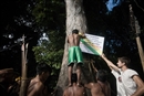 Protegiendo la Amazonia, codo con codo, con los Munduruk&#250;