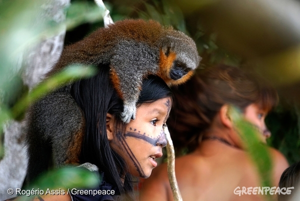 Los Mundurukús llevan cientos de años viviendo en armonía con el Amazonas.