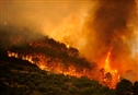 El incendio de Pedr&#243;g&#227;o Grande en Portugal y el riesgo de megaincendios ingobernables 