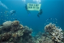 Bob Esponja ya no vivir&#225; en esta pi&#241;a debajo del mar