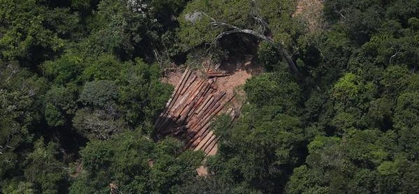 "Illegal logging areas between Placas and Santarém in Pará state. An investigation by Greenpeace used covert GPS locator beacons to monitor logging trucks. During the day, empty logging trucks travel deep into the rainforest and at night they travel from illegal logging camps to sawmills in Santarém. These sawmills regularly export timber to Europe, China and the United States."