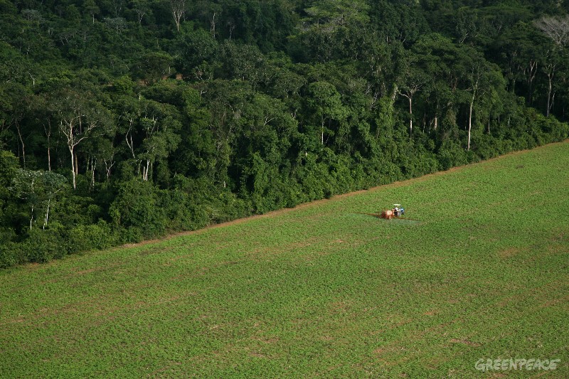 Área desmatada da Floresta Amazônica, no Pará; a terra é preparada para plantações de soja.  Logged area in the Amazon rainforest, in Pará state, to clear land for soy plantations.