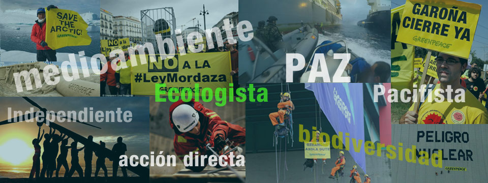 Punto de partida Amoroso conversión Misión, visión, y valores de Greenpeace | Greenpeace España