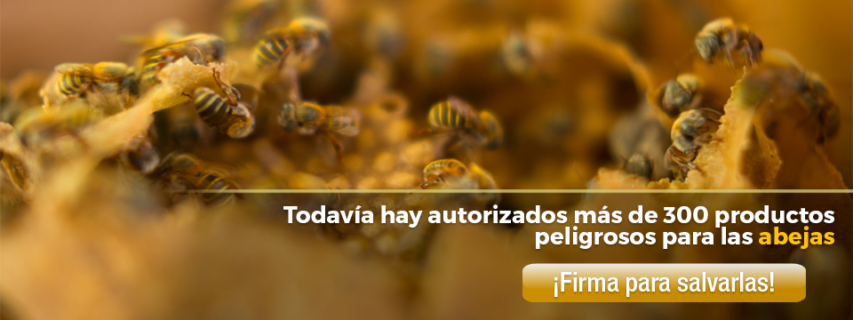 ¡Firma para salvar a las abejas!