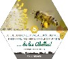 Què passaria si no n’hi haguéssin abejas?