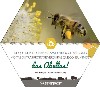 Das abellas-gallego