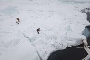 Greenpeace finaliza su segunda Expedición al Ártico con Carlos Bardem, Alberto Ammann y Álvaro Longoria