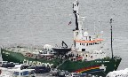 Las autoridades rusas liberan de forma inesperada el barco de Greenpeace Arctic Sunrise