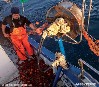 Greenpeace pide a las grandes cadenas de supermercados un apoyo claro a la pesca artesanal
