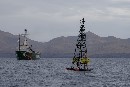 Greenpeace celebra que la Comisión Europea investigue en profundidad las deficiencias técnicas de las prospecciones de Repsol en Canarias