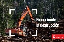 El Banco Santander anunciará mañana que deja de financiar la destrucción de bosques en Indonesia