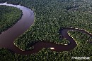 Greenpeace documenta el peligro que corren las áreas protegidas de la Amazonia