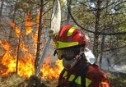 Incendio forestal en los alrededores de Teruel
