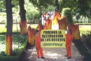 Greenpeace denuncia la destrucción de los bosques escenificando un incendio en el Jardín Botánico de Madrid