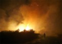 Greenpeace solicita a Cañete más prevención para evitar incendios forestales como los de este verano