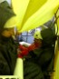 Greenpeace continúa su protesta en lo alto de la chimenea de la central térmica de Pasaia