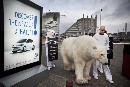 Osos polares de Greenpeace invaden el salón del automóvil en protesta por la destrucción del Ártico