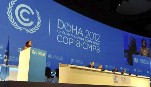 WWF y Greenpeace piden en Doha una reducción real de las emisiones 