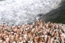 Tunick y Greenpeace “desnudan” a centenares