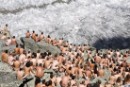 Tunick y Greenpeace “desnudan” a centenares