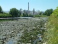 Un río sin vida en su tramo final (río Besaya)