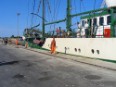 El barco de Greenpeace