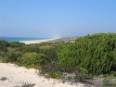 Playa de Melides (Litoral Alentejano
