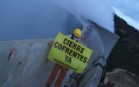 Activistas de Greenpeace en Cofrentes