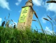 Activistas de Greenpeace se sube a la Torre