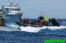 Más de una veintena de activistas de Greenpeace