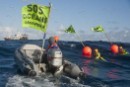 Greenpeace espera que la sanción sirva como ejemplo y disuada de futuros intentos de pesca ilegal