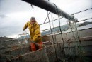 Pescadores artesanales y Greenpeace piden en Bruselas que la UE defienda la pesca de bajura