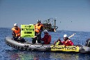 Activistas de Greenpeace denuncia la pesca de arrastre costera en Grecia