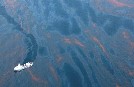 Greenpeace obtiene las primeras muestras de su expedición en el golfo de México 