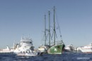 Agosto 2006: El Barco de Greenpeace Rainbow