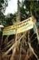 Accion protesta en Ecuador contra las camaroneras