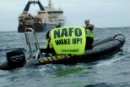 Greenpeace finaliza su campaña en NAFO tras documentar la actividad de 20 arrastreros de 8 países