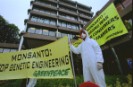 Activistas de Greenpeace ocupan la sede de