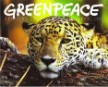 Calendario 2003 de Greenpeace