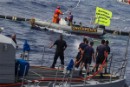 Activistas de Greenpeace continúan la campaña en defensa del atún rojo