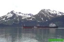 El petróleo del Exxon Valdez sigue contaminando las costas de Alaska