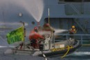 Greenpeace denuncia la nueva cacería de ballenas de Japón y Noruega