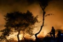 Imagen de los incendios que han asolado Galicia