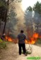 Incendio forestal en Portugal 2003