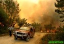 Incendio forestal en Portugal 2003