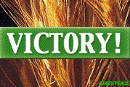Victoria: Monsanto abandona el trigo transgénico