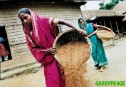 ¿Quién alimentará al mundo? Hacia una agricultura diversa y sostenible como motor de desarrollo