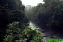 Panorámica de la selva en el río Xerua